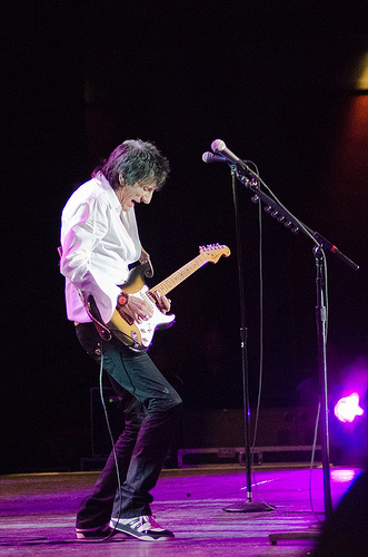 ronnie wood in concert