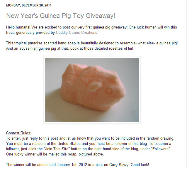 Guinea Pig Soap Giveaway