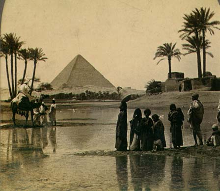 Pyramid and Date Palms