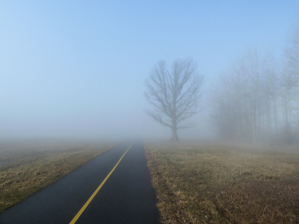 Foggy Road