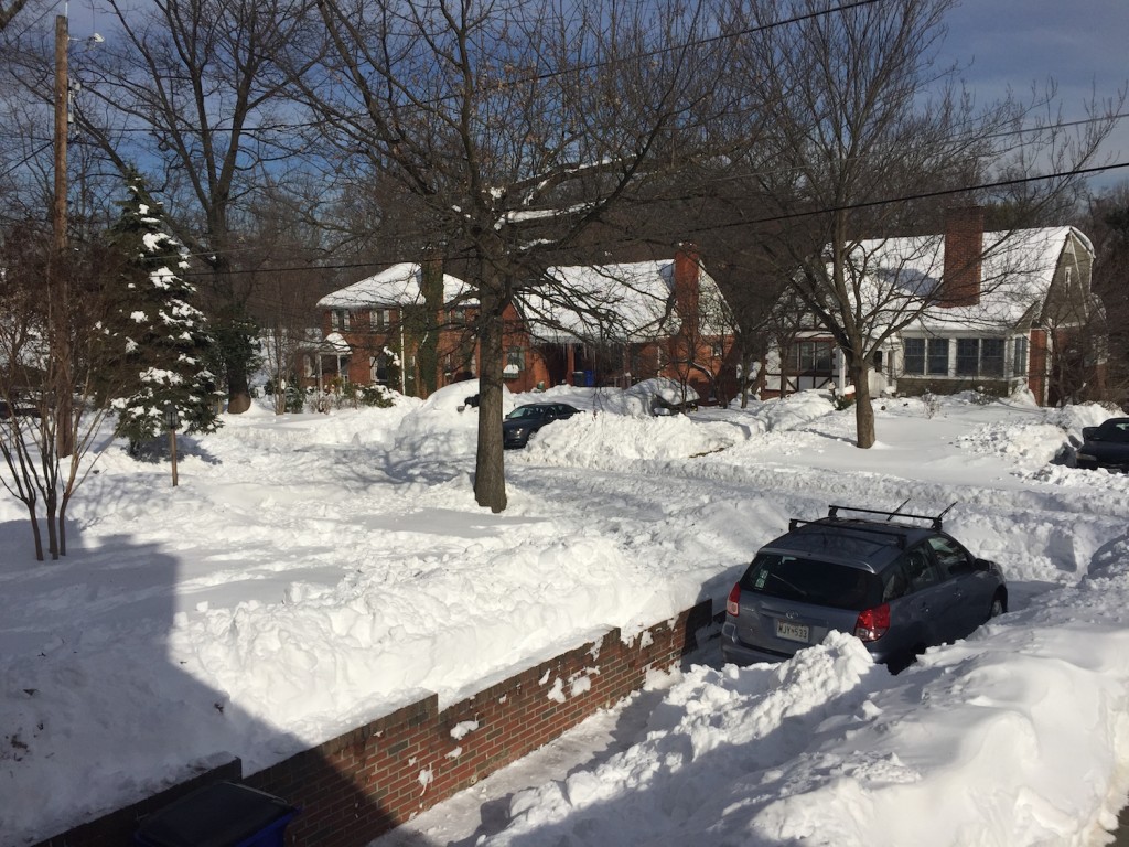 2016's Snowzilla Jonas