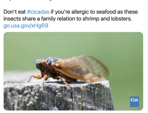 When the FDA won the Internet (also, cicadas)
